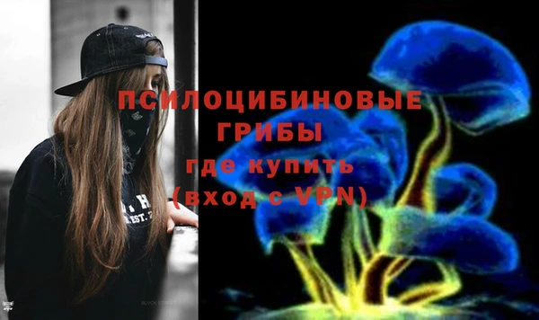 амф Алексин