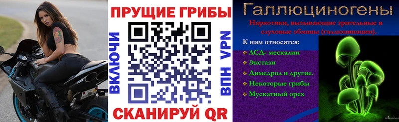 Купить закладки  Саров  Псилоцибиновые грибы ЛСД 