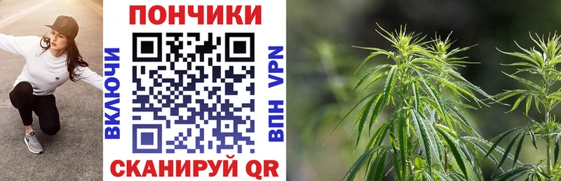 Купить  Саров  Бошки Шишки тримм 